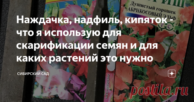 Наждачка, надфиль, кипяток - что я использую для скарификации семян и для каких растений это нужно Прочные семена финиковой пальмы удобнее надпиливать надфилем, а вот семена душистого горошка я обрабатывала другим способом. В пластмассовую баночку из-под майонеза я вложила ленту из строительной шкурки абразивной стороной внутрь. А дальше просто – засыпать семена, закрыть крышку, и энергично потрясти «погремушку».