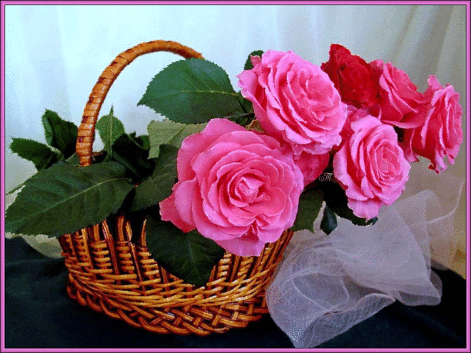 Плейкаст «Приятного Воскресного дня! Хорошего Настроения!»