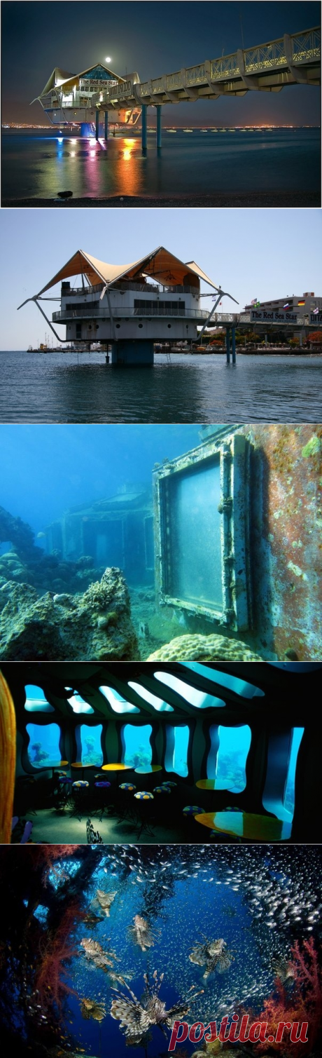 Уникальный подводный ресторан Red Sea Star в Израиле - Путешествуем вместе