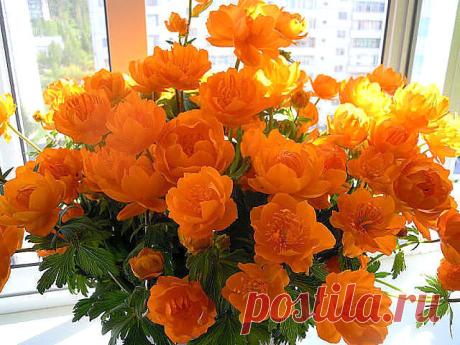 Мой Мир@Mail.Ru
