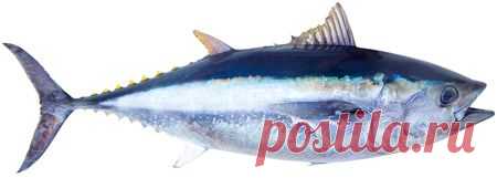 Продукты питания богатые хромом (Cr)