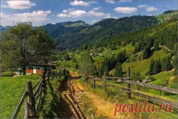 (10) Facebook