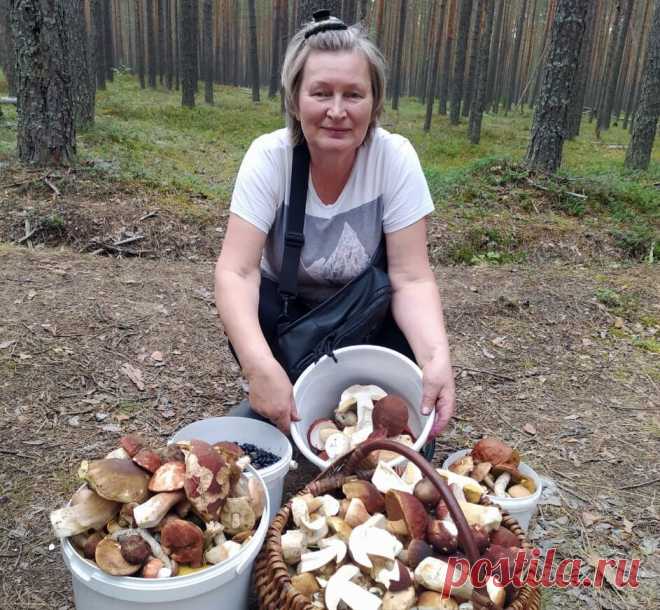 Мембранная одежда лучше всего подходит для походов в лес за грибами и ягодами
Всем привет! Особенно грибникам и грибницам! :)) Идею сегодняшней статьи мне, сама того не зная, подкинула моя очень добрая знакомая Тамара Асмолова (это она на фото ниже). Вот уж неуемная собирательница грибов. Очень активный по-жизни человек, вечно куда-то спешащая и, что интересно, всюду и всегда успевающая. А за грибами она старается ездить не одна, а […]
Читай дальше на сайте. Жми подробнее ➡