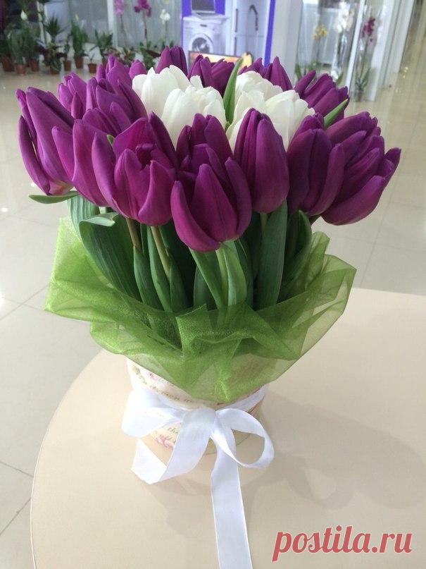 Весеннего настроения!