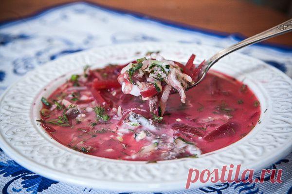 Холодный борщ