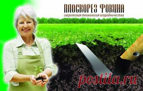 сообщение НАШ_САД : ПЛОСКОРЕЗ ФОКИНА (10:16 09-03-2015) [901126/355807890] - natasha_5656@mail.ru - Почта Mail.Ru