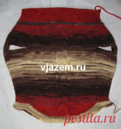 Онлайн: вяжем собакам спицами теплый свитер | vjazem.ru