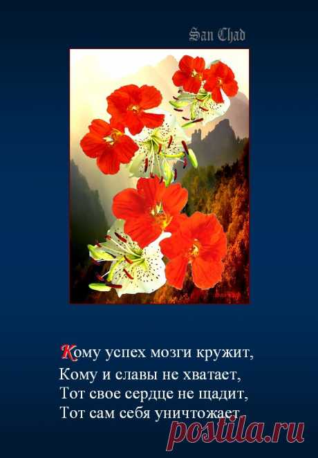 Софиты Сан Чада