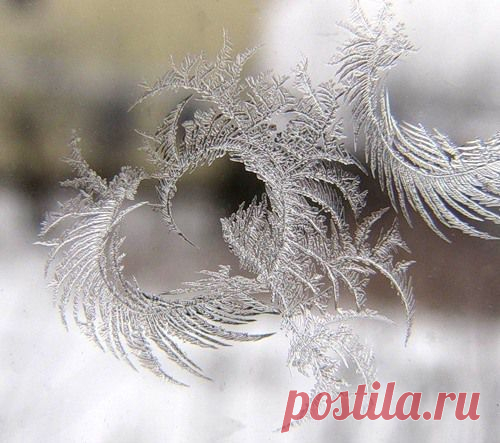 Мой Мир@Mail.Ru