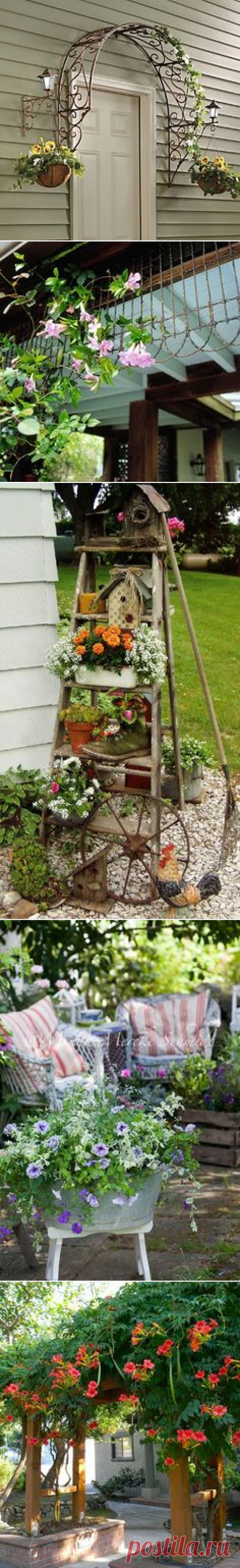 Hiding a downspout with trellis | Garden wonderland | Шпалеры, Ломонос и Здание