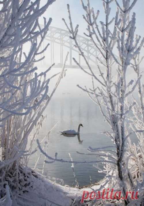 (10) Tumblr