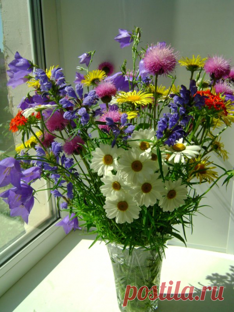 БУКЕТЫ ИЗ ПОЛЕВЫХ ЦВЕТОВ