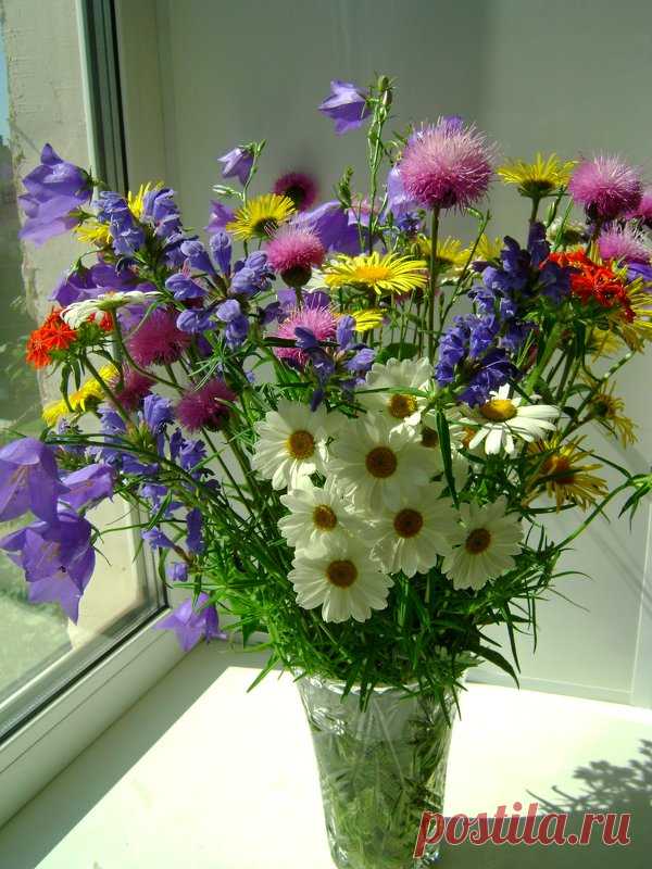 БУКЕТЫ ИЗ ПОЛЕВЫХ ЦВЕТОВ