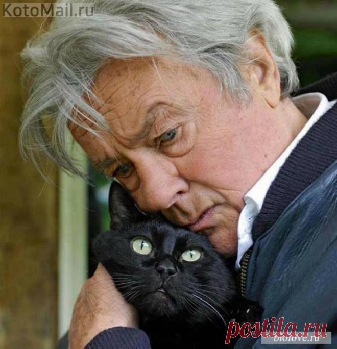 Звезды и их домашние любимцы