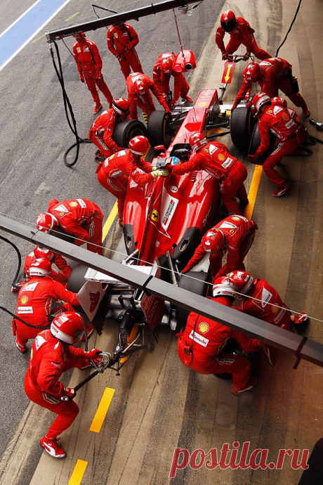 F1