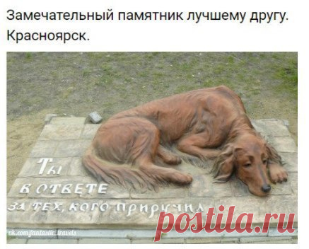 Невероятные факты