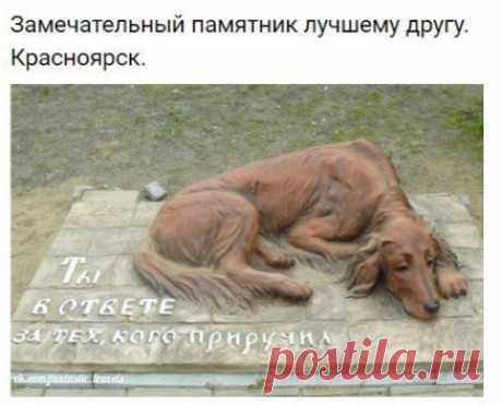 Невероятные факты