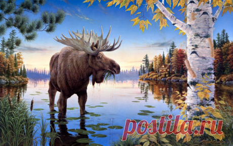 Лось и весна.