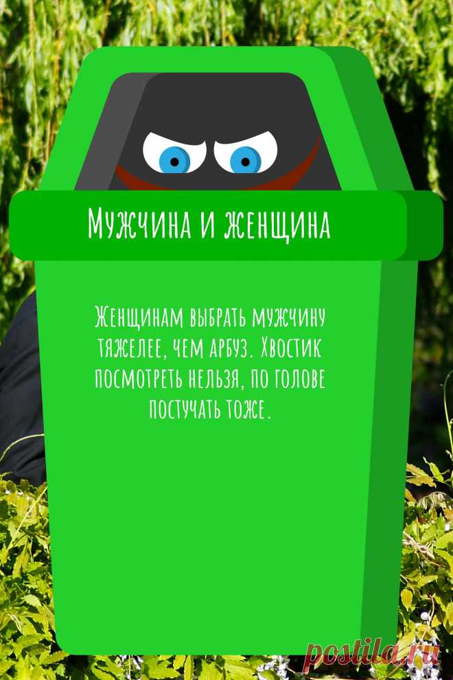 Цитата про «Мужчину и женщину» — Женщинам выбрать мужчину тяжелее, чем арбуз.…