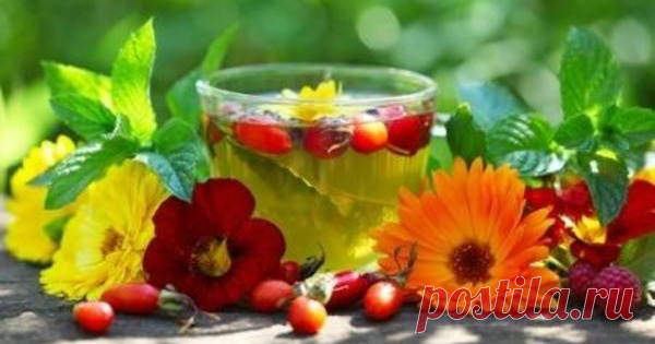 Травяные, цветочные и ягодные чаи – когда их пить и чем они полезны?