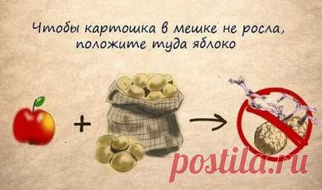 КАРТОФЕЛЬ + ЯБЛОКО !!!