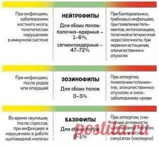 На заметку
О чем расскажет анализ крови.