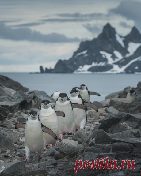 Фотограф Даниил Коржонов (Daniel Kordan) - Алые паруса #1883719. 35PHOTO