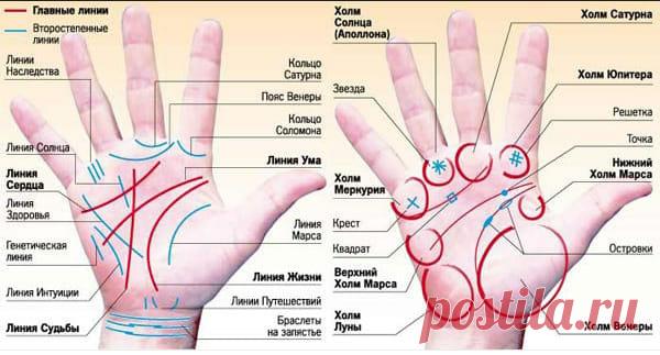 НОЯБРЬСКИЙ «ПЕРЕВОРОТ»!