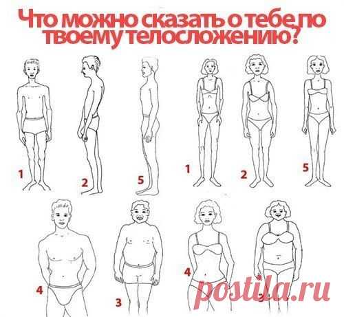 О чем говорит телосложение