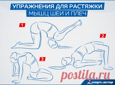 (58) Одноклассники