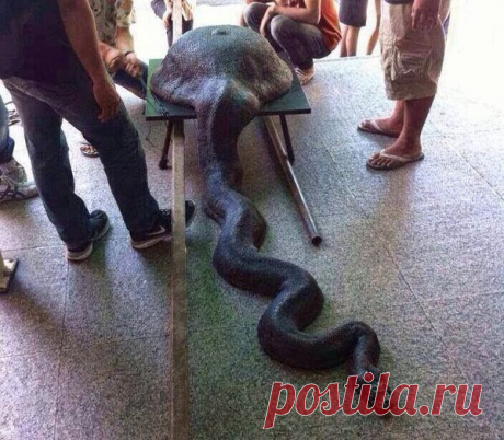 Загадка дня | Зашибись