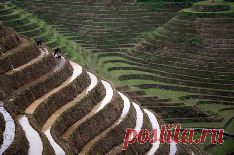 Невероятные террасы