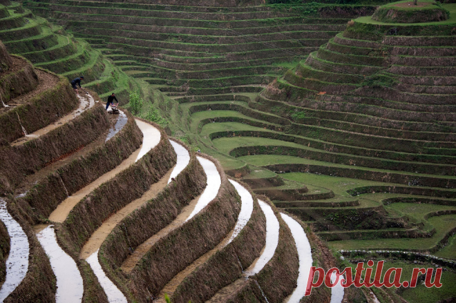 Невероятные террасы