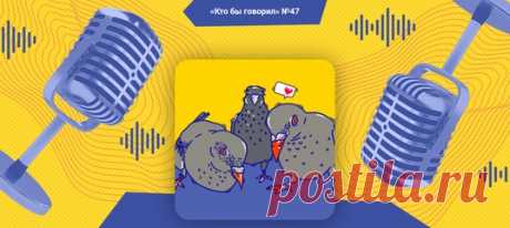 Алексей, Родион и Ира говорят о затянувшейся самоизоляции, финансах и профессии учителя.