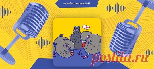 Алексей, Родион и Ира говорят о затянувшейся самоизоляции, финансах и профессии учителя.