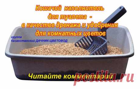 Кошачий наполнитель из цеолита, применение