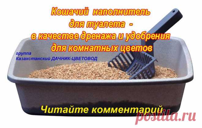 Кошачий наполнитель из цеолита, применение