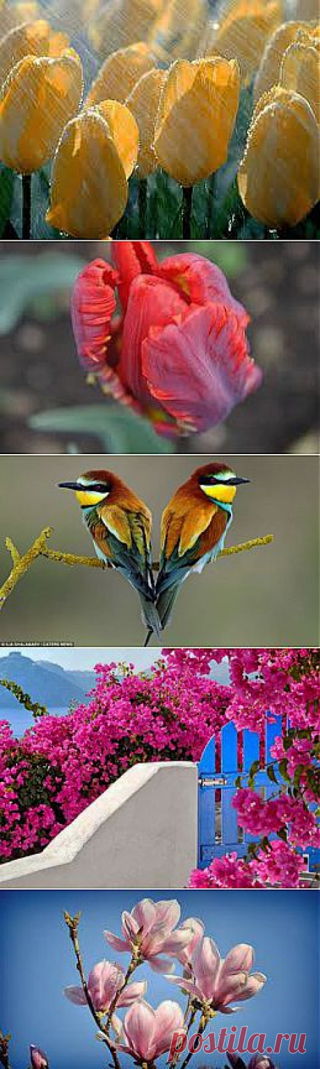 (2) Facebook