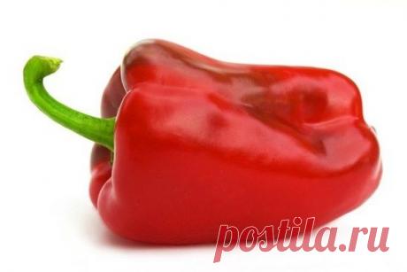 МОЙ САД |Дача, загородный дом, огород, растения