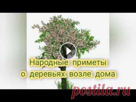Деревья-обереги дома Не делай этого никогда чтобы в доме было счастье Посадите это дерево возле дома как оберег #оберегидома #дерево #оберег #дом #семья #благополучие...