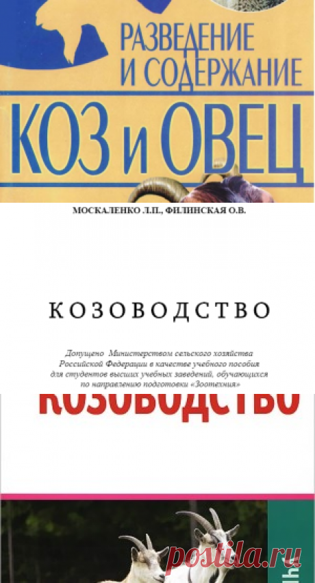 Разведение и содержание коз и овец - книга Завязкин