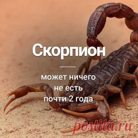 Узнай сегодня