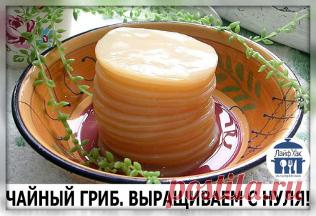 Одноклассники