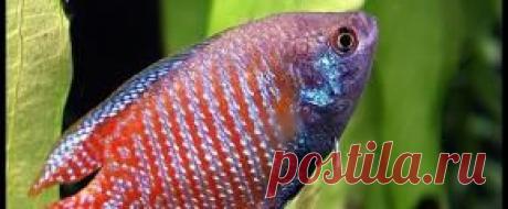 Мирный - Part 5