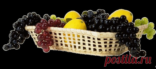 клипарт «дары природы