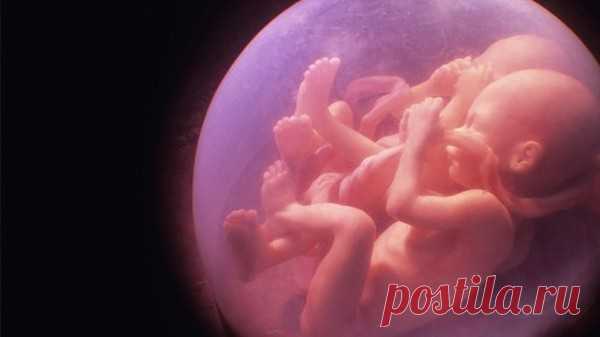 Разговор двух близнецов - Разговоры на любые темы