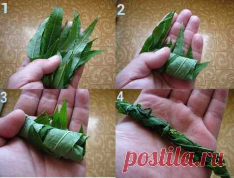 ЗАГОТОВКА ИВАН - ЧАЯ. Личный опыт из поселения.
Где-то прочитал информацию, что в 19 веке Копорский чай или Иван-чай поставлялся русскими купцами на экспорт в Европу в огромных количествах и очень высоко в Европе ценился.