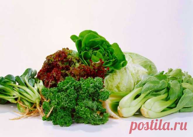 6 продуктов, помогающих замедлить СТАРОСТЬ, на которых не стоит экономить.