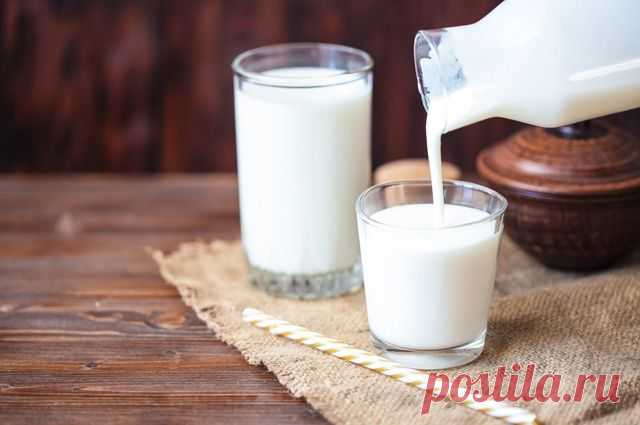 Бактерии для пищеварения. Продукты с большим содержанием пробиотиков