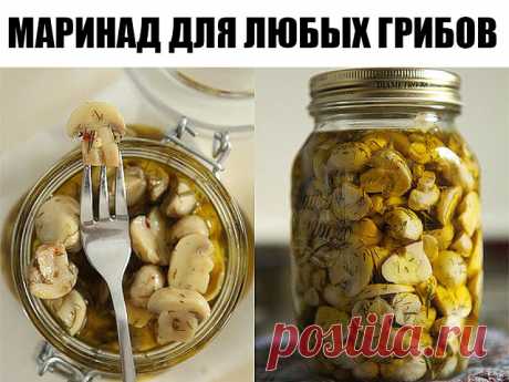 Ловите, хозяюшки вы мои!) Маринад для любых грибов.      

1 литр воды; 
2 ст. л. сахара; 
4 ч. л. соли; 
3 шт. лаврового листа; 
6 горошин душистого перца; 
4 шт. гвоздики; 
3 кусочка корицы (молотой ½ ч. л.) ; 
3 ч. л. уксусной эссенции 70 %. 

При использовании столового 5% уксуса необходимо взять 800 мл воды и 200 мл 5% уксуса. При использовании 9% уксуса - 890 мл воды и 110 мл 9% уксуса. 

ПРИГОТОВЛЕНИЕ: 

Вскипятить воду, добавить специи, проварить минутки три (уксус...